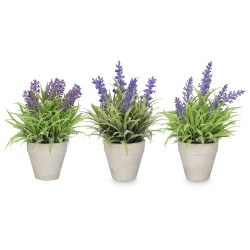 MACETA CEMENTO LAVANDA SURT 3 