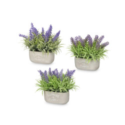 VASO CIMENTO COM LAVANDA SORT 3