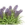 VASO CIMENTO COM LAVANDA SORT 3