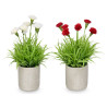 SQUARE CEMENT POT CARNATION ASSORTED 4  
