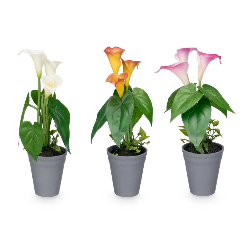 VASO CONICO GLADIOLI ASS 3