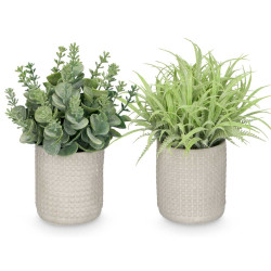 ROUND POT GREEN LEAVES ASSORTED 4