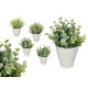 POT FEUILLES VERTES ASSORT 4