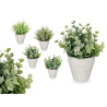 POT GREEN LEAVES ASSORTED 4