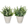 POT GREEN LEAVES ASSORTED 4