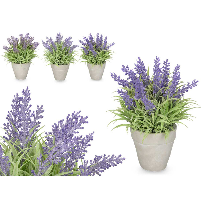 MACETERO LAVANDA MEDIANO SURT 3 