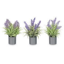 MACETA CILINDRO LAVANDA SURT 3 