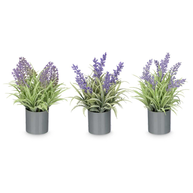 VASO CILINDRO LAVANDA ASS 3