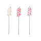 ORCHID BRANCH 88 CM ASSORTED 3 