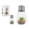 LAMPADINA CACTUS STRISCIA LED GR MIX
