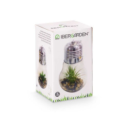 BOMBILLA CACTUS TIRA LED GR MIX