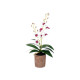 WHITE PURPLE TERRACOTTA FLOWER POT
