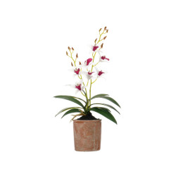 VASO TERRACOTA FLOR BRANCA E ROXA