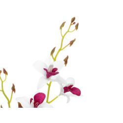 WHITE PURPLE TERRACOTTA FLOWER POT