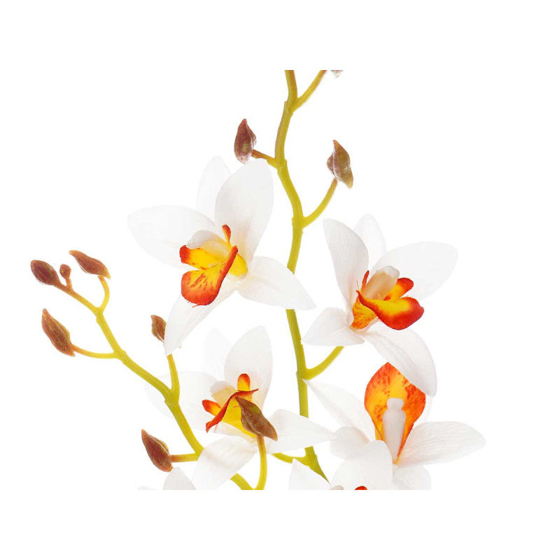 WHITE ORANGE TERRACOTTA FLOWER POT