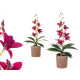 PURPLE FLOWER TERRACOTTA POT