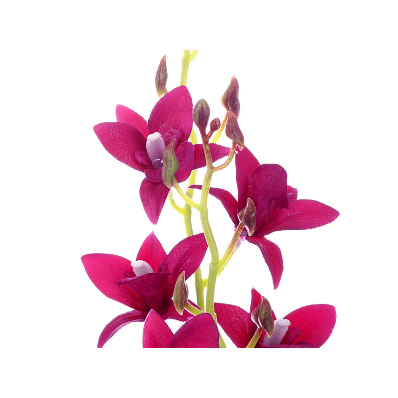 MACETA TERRACOTA FLOR MORADA 