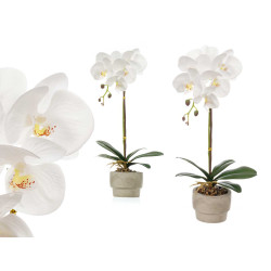 ORCHIDÉE POT CIMENT BLANC 1 TIGE 