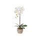 WHITE ORCHID CEMENT POT 1 ROD