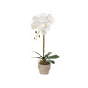 ORCHIDEA PORTAVASO CEMENTO BIANCO 1 BASTONE
