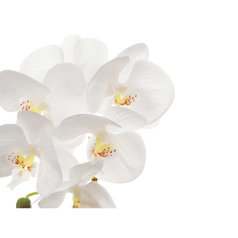 ORCHIDÉE POT CIMENT BLANC 1 TIGE 