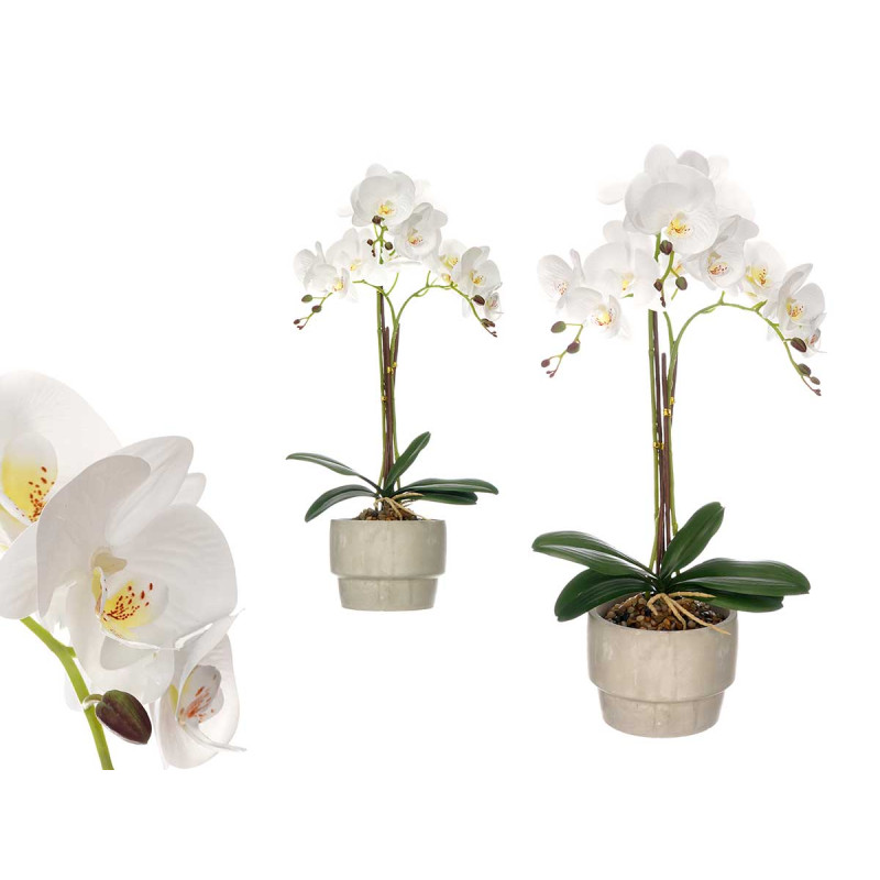 ORQUIDEA BRANCA VASO CIMENTO 3 HASTES