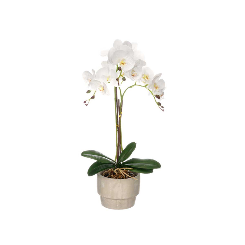 ORCHIDEA PORTAVASO CEMENTO BIANCO 3 BASTONI 