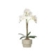 ORQUIDEA BRANCA VASO CIMENTO 3 HASTES