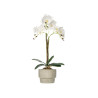 WHITE ORCHID CEMENT POT 3 STICKS
