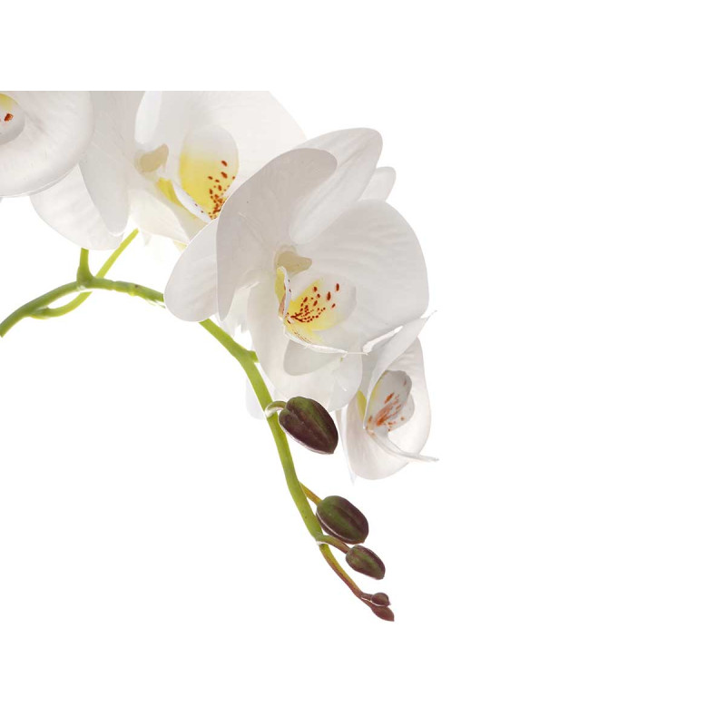 ORCHIDÉE POT CIMENT BLANC 3 TIGES