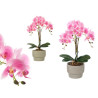 ORCHIDEA PORTAVASO CEMENTO ROSA 3 BASTONI 