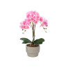 ORQUIDEA ROSA VASO CIMENTO 3 HASTES