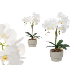 ORCHIDEA PORTAVASO CEMENTO BIANCO 2 BASTONI 