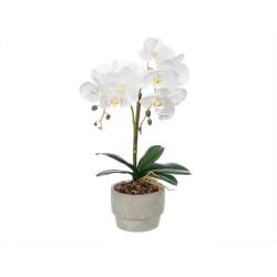ORCHIDEA PORTAVASO CEMENTO BIANCO 2 BASTONI 
