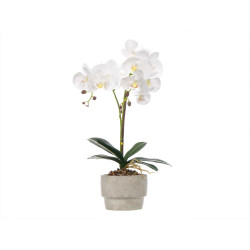 WHITE ORCHID CEMENT POT 2 STICKS