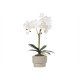 WHITE ORCHID CEMENT POT 2 STICKS