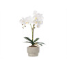 WHITE ORCHID CEMENT POT 2 STICKS