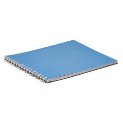 TOMANOTAS A4 40 HOJAS ANILLO COLOR NEUTRO SURT 4