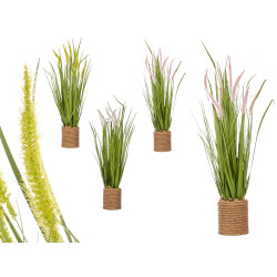 BOUQUET CORDA SPIGHE ASS 3 COLORI