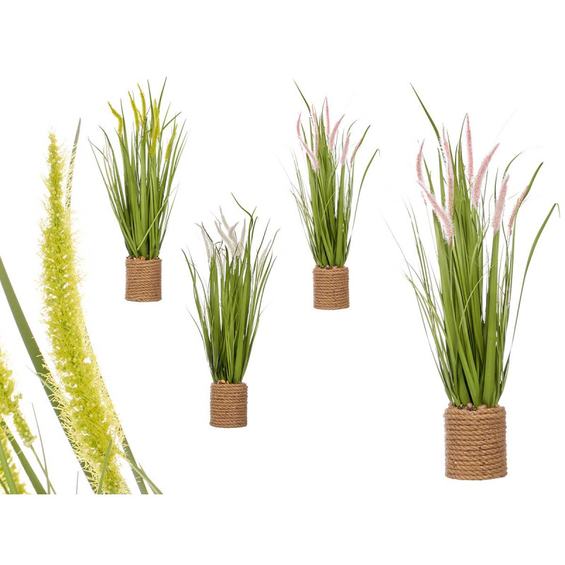 BOUQUET CORDA SPIGHE ASS 3 COLORI