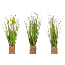 SPIGAS ROPE BOUQUET ASSORTED 3 COLOURS