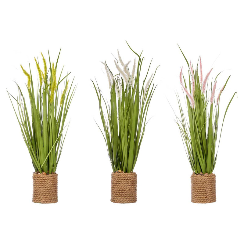 BOUQUET CORDA SPIGHE ASS 3 COLORI