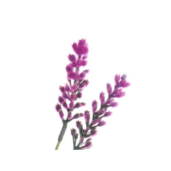 BOUQUET SAC ÉPIS ASS 3