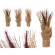 AGED CONES BAG BOUQUET ASSORTED 3