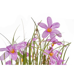 BOUQUET GIACINTO 15 FIORI ASS 3 COL