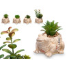 FROG POT ASSORTED 4