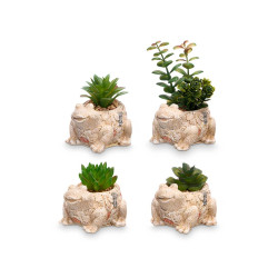 POT GRENOUILLE ASSORT 4