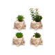 FROG POT ASSORTED 4