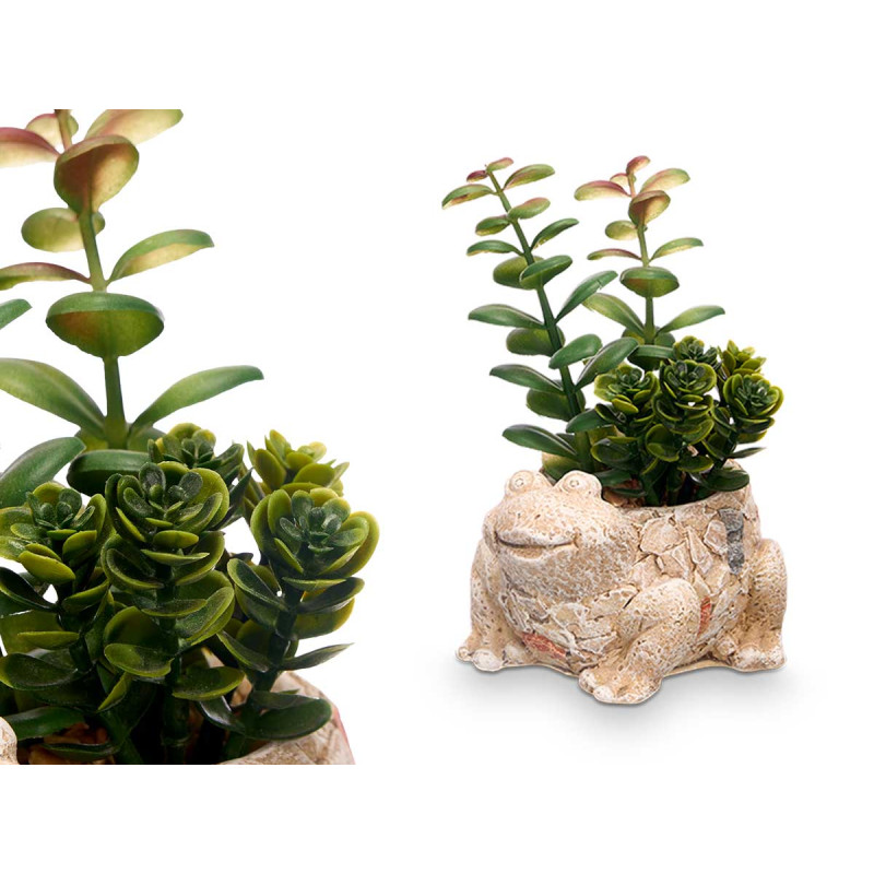 POT GRENOUILLE ASSORT 4