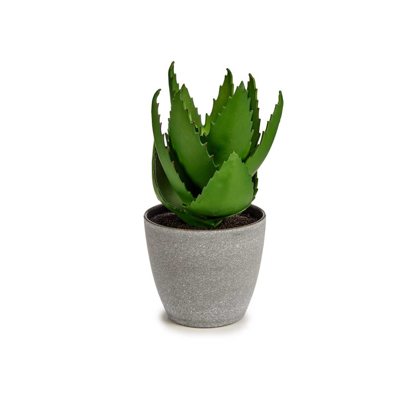 MACETA PLANTA ALOE VERA GRANDE